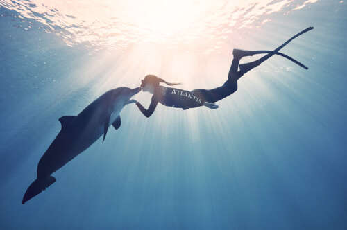 atlantis_day1_210218_0647_v2-copy