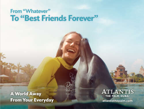 screen-shot-2017-08-02-at-12-08-16-pm