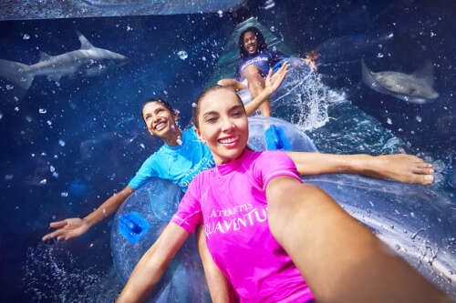 shark-attack-selfie_0588_final_v1-copy