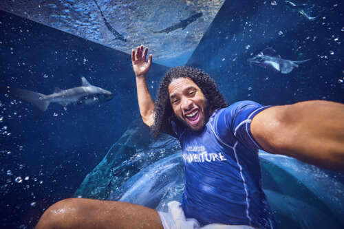 shark-attack-selfie_0790_v2-copy