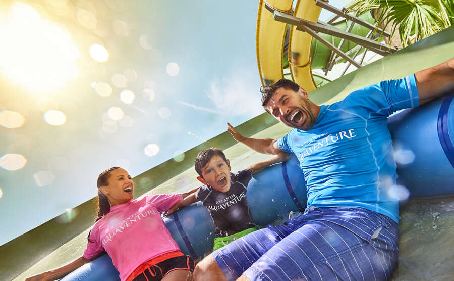 zoomerango_0870-final