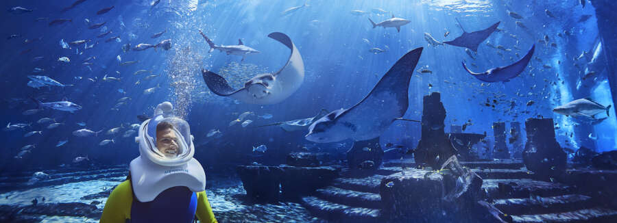 aquatrek-plate-2_final