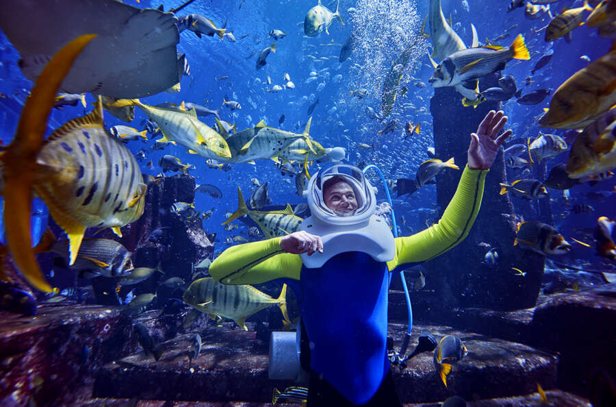 aquarium-tank_1136_final-2