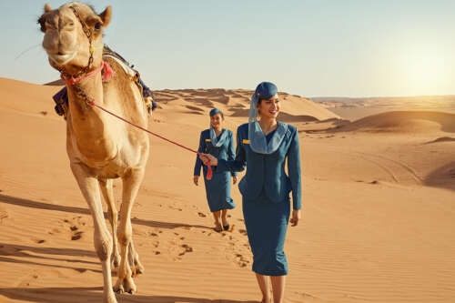 camel__crew_025_v3-copy